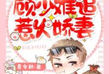 一胎两宝：顾少难追惹火娇妻小说的免费阅读版本在哪里可以找到？-瑞奇文学