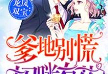 唐晚心墨时琛是哪本书的主角？龙凤双宝：爹地别慌，妈咪有药免费读-瑞奇文学