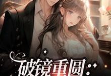 求破镜重圆:我和总裁he了小说免费资源-瑞奇文学