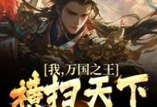 我,万国之王,横扫天下诸国小说免费资源,我,万国之王,横扫天下诸国在线阅读-瑞奇文学