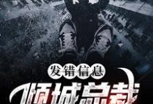 发错信息，倾城总裁老婆救场了小说的无弹窗阅读体验，寻找免费阅读网站-瑞奇文学