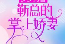 步步为营,靳总的掌上娇妻温禾时靳寒嵊靳承西孟知易小说免费阅读-瑞奇文学