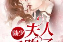 《陆少，夫人又跑了》小说主角田真陆怀宇章节章节免费在线阅读-瑞奇文学