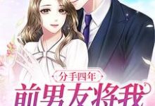 沈郁季眠为主角的小说好看吗?免费读分手四年,前男友将我堵在墙角-瑞奇文学