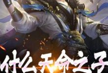 林叶小叶子为主角的小说好看吗？免费读什么天命之子，我是神选反派-瑞奇文学