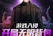 游戏入侵:开局无限背包,我无敌了小说全文哪里可以免费看?-瑞奇文学