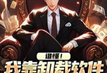 免费阅读林诚为主角的小说,谁懂!我靠卸载软件赚了100万在线看-瑞奇文学