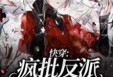 快穿:疯批反派他又被撩了陆离乔宸枫在线章节免费阅读-瑞奇文学