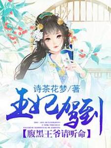 小说《王妃驾到，腹黑王爷请听命》在线章节阅读