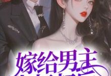 裴宴洲金多多为主角的小说叫什么?免费看嫁给男主小叔叔后,躺赢了-瑞奇文学