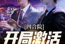 小说《四合院：开局激活任务系统》在线章节阅读-瑞奇文学