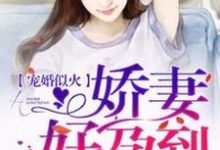 主人公 黎浅陆天擎小说宠婚似火：娇妻，好孕到！在线章节阅读-瑞奇文学