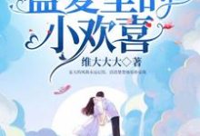 你是盛夏里的小欢喜沈夏天曾佑远小说在线章节目录阅读最新章节-瑞奇文学