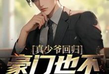 真少爷回归,豪门也不需要我了小说,真少爷回归,豪门也不需要我了章节在线阅读-瑞奇文学