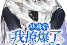 完整版的穿书:冲喜后我撩爆了病娇反派小说在哪里可以免费读到?-瑞奇文学