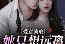 完整版的爱意消磨,她只想远离冷情丈夫小说在哪里可以免费读到?-瑞奇文学