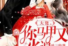 大佬，你马甲又火遍全球了小说免费资源，大佬，你马甲又火遍全球了在线阅读-瑞奇文学