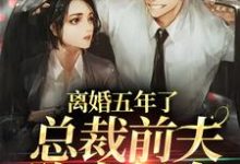 免费阅读沈颖汐盛淮渊为主角的小说，离婚五年了，总裁前夫跪求复合在线看-瑞奇文学