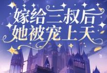 主人公叫崔桑宁权御的小说哪里免费看-瑞奇文学