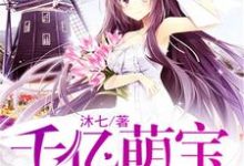 哪里能找到千亿萌宝宠上天小说的全部章节？-瑞奇文学