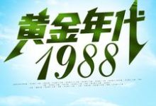 黄金年代1988小说阅读,黄金年代1988完结版-瑞奇文学