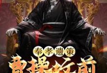 在线寻找奉孝遗策：曹操坟前求军师小说的无删减版本-瑞奇文学