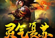 灵气复苏：从获得霸王模板开始无敌最新章节，灵气复苏：从获得霸王模板开始无敌免费阅读-瑞奇文学