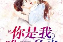 你是我唯一的光免费阅读，你是我唯一的光章节在线阅读-瑞奇文学