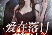 爱在落日暮色中小说全文哪里可以免费看？-瑞奇文学