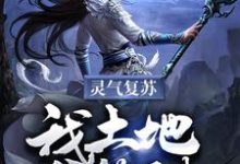 林枫为主角的小说叫什么？免费看灵气复苏：我土地爷签到！-瑞奇文学