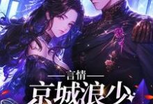完整版的言情：京城浪少苦追妻小说在哪里可以免费读到？-瑞奇文学