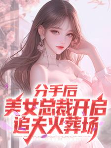 在线寻找分手后，美女总裁开启追夫火葬场小说的无删减版本