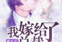 重生后，我嫁给了总裁小说最新更新在哪里？免费在线看-瑞奇文学