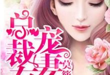 完结版《总裁宠妻有道》章节阅读-瑞奇文学