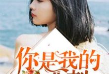 你是我的心头刺小说，你是我的心头刺免费阅读-瑞奇文学