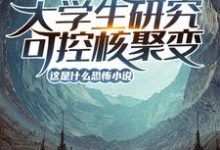 陆远的故事在哪本书里？免费阅读大学生研究可控核聚变？这是什么恐怖小说！-瑞奇文学