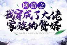 网游之我穿成了大佬家族的赘婿章节免费在线阅读,林度宁风雅完结版-瑞奇文学