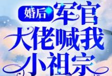 男女主人公盛晚烟顾廷枭小说婚后,军官大佬喊我小祖宗章节免费阅读-瑞奇文学