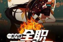 已完结小说《一发入魂：全职召唤师》章节免费阅读-瑞奇文学