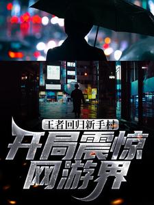 王者回归新手村，开局震惊网游界小说，王者回归新手村，开局震惊网游界在线阅读