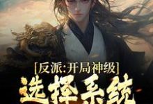 反派：开局神级选择系统，我一路狂飙小说的无弹窗阅读体验，寻找免费阅读网站-瑞奇文学