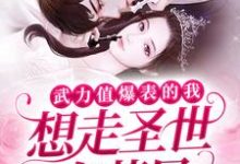 武力值爆表的我想走圣世白莲风叶小小萧狱小说大结局免费试读-瑞奇文学