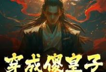 《穿成傻皇子，我大闹京都》小说章节在线试读，《穿成傻皇子，我大闹京都》最新章节目录-瑞奇文学