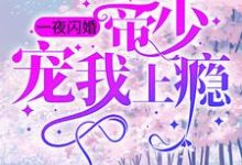 小说《一夜闪婚：帝少宠我上瘾》章节免费阅读-瑞奇文学