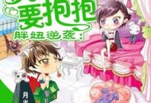 已完结小说《胖妞逆袭：男神老公要抱抱》在线章节阅读-瑞奇文学