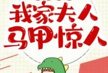 渣总缠宠：我家夫人马甲惊人免费阅读，渣总缠宠：我家夫人马甲惊人章节目录-瑞奇文学