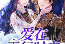 男女主人公叫凌风蕊的小说免费资源-瑞奇文学