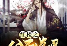 红楼之公子逍遥免费阅读,红楼之公子逍遥贾珏秦可卿-瑞奇文学