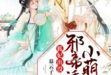 祁云初圣月邪的故事在哪本书里？免费阅读狐妃出没：邪帝诱宠小萌妃-瑞奇文学