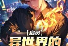 启灵:异世界的修仙指南小说的免费阅读版本在哪里可以找到?-瑞奇文学